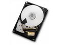 WD Ultrastar DC HC310 HUS726T6TALE6L4 - Pevný disk