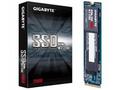 Gigabyte SSD, 256GB, SSD, M.2 NVMe, 5R