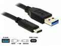 Delock Kabel SuperSpeed USB 10 Gbps (USB 3.1, Gen 