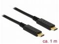 Delock - USB kabel - USB-C (M) do USB-C (M) - USB 