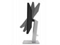 ASUS ProArt, PA247CV, 23,8", IPS, FHD, 75Hz, 5ms, 