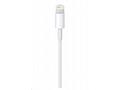 Apple Lightning to USB Cable (2m)