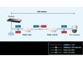 Planet POE-162S, PoE splitter, IEEE802.3at, 12V, 2