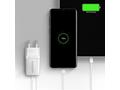 AXAGON ACU-PQ30W, Sil nabíječka do sítě 30W, 2x po