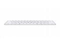 Apple Magic Keyboard with Touch ID for Mac compute
