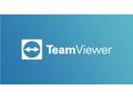 TeamViewer 15 Business, 1 rok, prodloužení