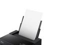 Epson SureColor, SC-P700, Tisk, Ink, Role, LAN, Wi