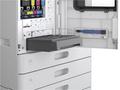 Epson Maintenance Box (AM-C4000, 5000, 6000)