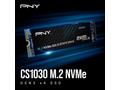 PNY SSD CS1030 500GB, PCIe Gen3x4, M.2 2280, (R:25