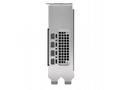 PNY NVIDIA RTX PRO 2000 Blackwell, PCI-E, 16GB GDD