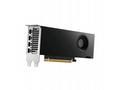 PNY VGA NVIDIA RTX PRO 4000 Blackwell SFF 24GB, 24