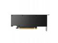 PNY VGA NVIDIA RTX PRO 4000 Blackwell SFF 24GB, 24