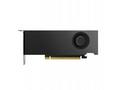 PNY VGA NVIDIA RTX PRO 4000 Blackwell SFF 24GB, 24