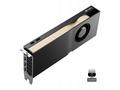 PNY NVIDIA RTX PRO 4500 Blackwell, 32GB, GDDR7