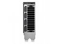 PNY VGA NVIDIA RTX PRO 5000 Blackwell 48GB, 48GB G