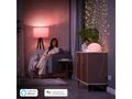 PHILIPS Hue Smart Plug CZ, SK