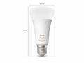 PHILIPS Hue White and Color Ambiance 15W 1600 E27
