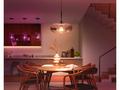 PHILIPS Hue White and Color Ambiance 15W 1600 E27