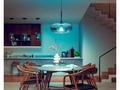 PHILIPS Hue White and Color Ambiance 15W 1600 E27