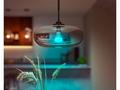 PHILIPS Hue White and Color Ambiance 15W 1600 E27