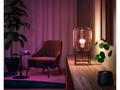 Philips Hue White and Color Ambiance 6.5W 800 E27 