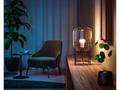 Philips Hue White and Color Ambiance 6.5W 800 E27 