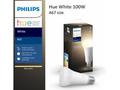 PHILIPS Hue White žárovka 15.5W E27 A67 DIM