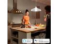PHILIPS Hue White žárovka 15.5W E27 A67 DIM