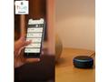 PHILIPS Hue White žárovka 15.5W E27 A67 DIM