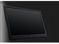ACER LCD PM161QBbmiuux, 40cm (15.6"),1920x1080,250