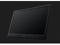 ACER LCD PM161QBbmiuux, 40cm (15.6"),1920x1080,250