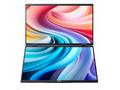 ACER LCD PD163Qbmiuux DUAL SCREEN 40cm (15.6") IPS