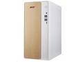 Acer Aspire, TC-102_H610D4_FR180W, Tower, i3-14100