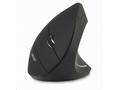 ACER Vertical wireless mouse