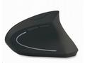 ACER Vertical wireless mouse