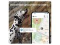 Tractive DOG 6 – GPS lokátor pro psy a monitor zdr