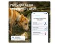 Tractive DOG 6 – GPS lokátor pro psy a monitor zdr