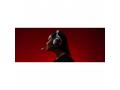 HP HyperX Cloud Alpha Wireless - Gaming Headset (B