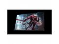 HyperX OMEN 27q QHD 240Hz 27", 2560x1440 OLED QHD,