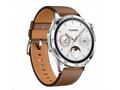 Huawei Watch GT4 46mm (Phoinix-B19L), brown EU