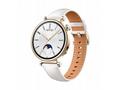 Huawei Watch GT4 41mm (Aurora-B19L), white EU