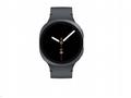 Samsung Galaxy Watch8 (44mm) LTE grafitová, EU