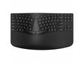 HP 960 Black Ergonomic Wireless Keyboard - bezdrát