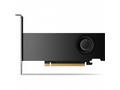 HP NVIDIA RTX 2000 Ada, 16GB, GDDR6