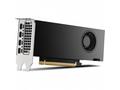 HP NVIDIA RTX 2000 Ada, 16GB, GDDR6