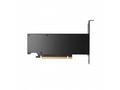 HP NVIDIA RTX 2000 Ada, 16GB, GDDR6