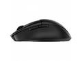 HP 685 Comfort - Myš - duální režim - 7 tlačítka -