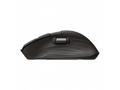 HP Ultra-Fast Scroll Wireless Mouse 785M