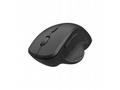 Myš C-TECH WLM-14BK Dual mode, bezdrátová, BT5.0