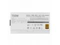 Cooler Master zdroj V750 Gold-V2 White Edition, 75